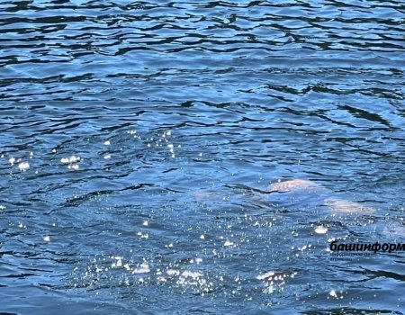 В Уфе с начала купального сезона утонули 16 человек