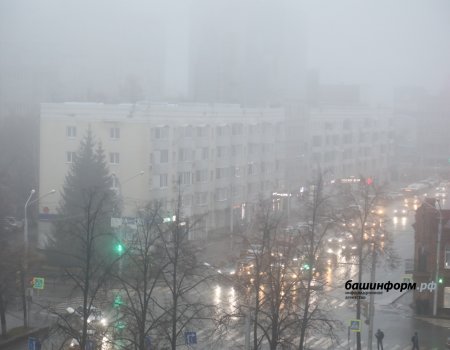 Жителей Башкирии ждет туман и сильный ветер