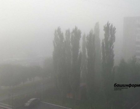 МЧС Башкирии сообщает о возможном ухудшении видимости из-за тумана