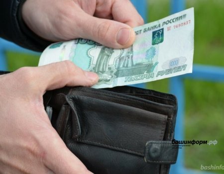В Башкортостане назвали размер прожиточного минимума на душу населения в 2024 году