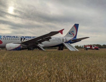 Самолет Сочи – Омск экстренно сел в поле под Новосибирском