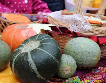 Жителей Башкортостана ждут на сельскохозяйственных ярмарках