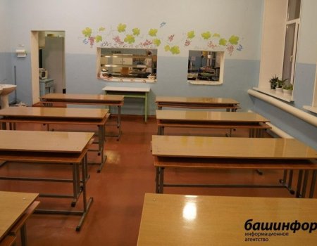 Роспотребнадзор объяснил, в каких случаях в школах Башкортостана приостановится учебный процесс