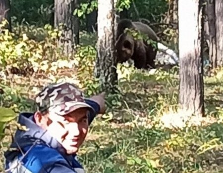 Житель Башкирии сфотографировался с медведем в лесу (видео)