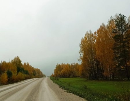 В выходные в Башкортостане ожидается умеренно теплая погода с небольшими дождями