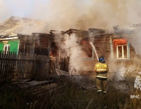 В Башкортостане при пожаре погибли мать с годовалой дочкой