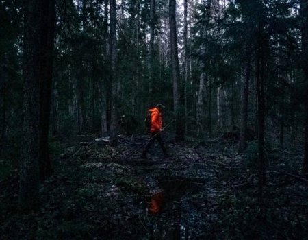 В Башкортостане грибник заблудился в лесу к ночи