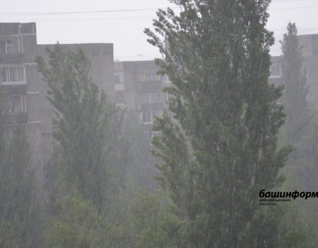 МЧС по Башкирии предупреждает о шквалистом ветре и ухудшении видимости на дорогах