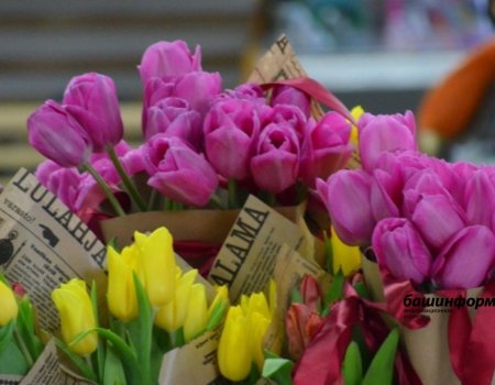 В Уфе у бизнесмена похитили цветочный павильон: обвиняемому в краже вынесли приговор
