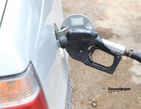 Меры по снижению цен на топливо начали давать результат