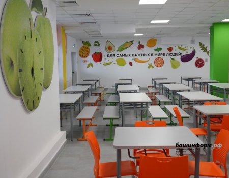 До 2025 года в Башкортостане планируют построить 17 новых школ