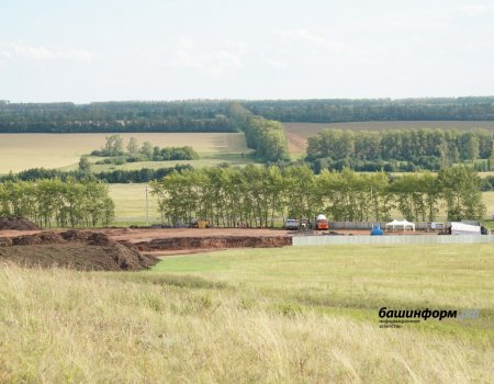 В Башкортостане выделили землю под строительство Центра башкирской лошади и ловчих птиц