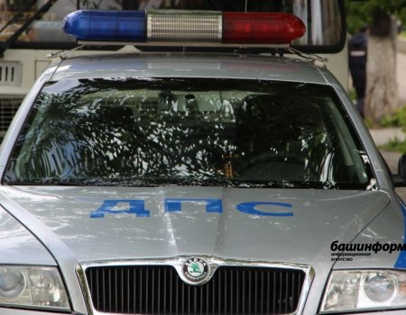 В Уфе в выходные автоинспекторы задержали 24 пьяных водителя