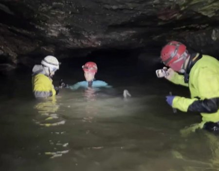 Подземный мир сталактитов: спелеологи показали красоту башкирских пещер