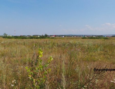 В Башкортостане отличившимся бойцам СВО будут выделять бесплатную землю
