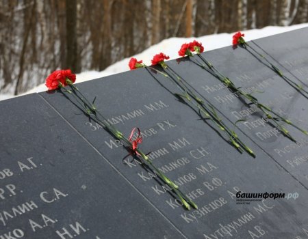 Погибшие воины добровольческих батальонов Башкортостана будут похоронены на воинских кладбищах