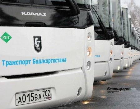 В Башкортостане меняется расписание пригородного автобуса Баймак - Сибай