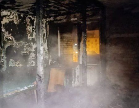 В Башкирии в городе Янаул при пожаре погибли женщина и 4-летняя девочка