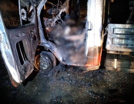 В Башкирии мужчина сгорел вместе с грузовиком