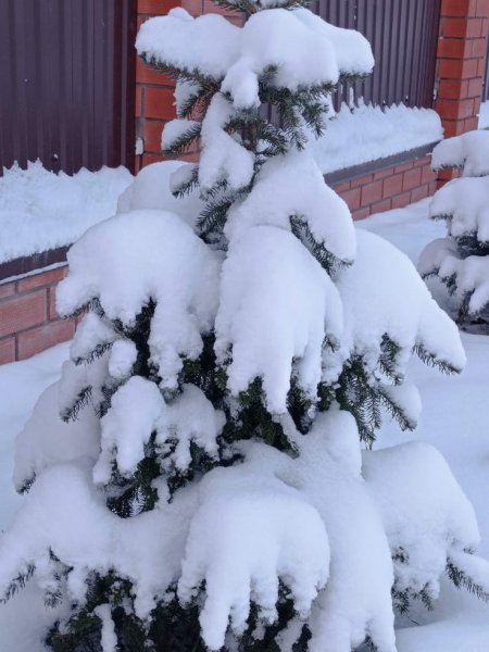 Мокрый снег, гололед: МЧС по Башкирии вновь предупреждает о ненастной погоде