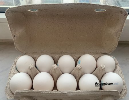 Жительница Башкирии хотела продать яйца, а лишилась 28 тысяч рублей