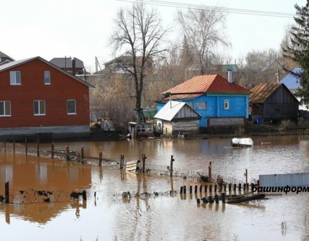 Башкирия готовится к большой воде-2024: прогнозы и опасения