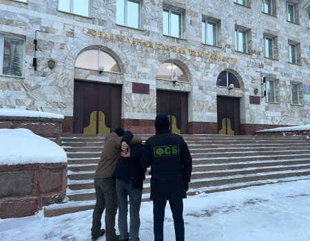 ФСБ задержала жителя Башкирии за публичное оправдание терроризма