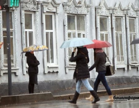 Новая рабочая неделя в Башкирии будет дождливой
