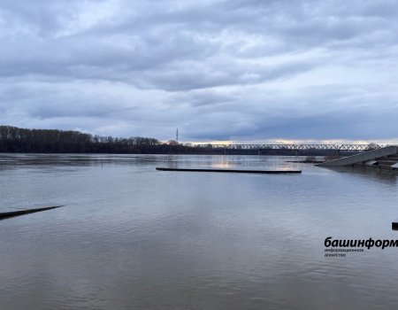 В Башкирии ожидается прохождение максимальных уровней на крупных реках