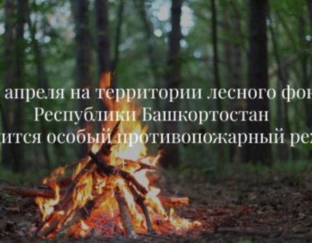 В лесах Башкирии 27 апреля вводится особый противопожарный режим
