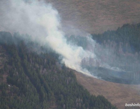 МЧС сообщило о повышенной опасности природных пожаров Башкортостане в сентябре