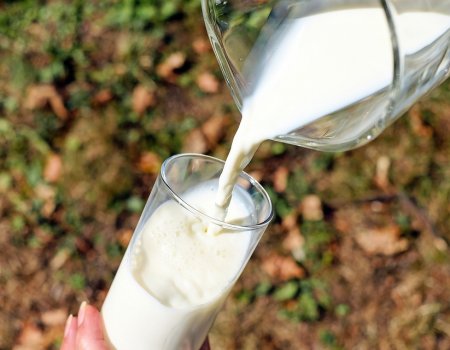 В развитие молочной отрасли Башкортостана вложат почти 37 млрд рублей