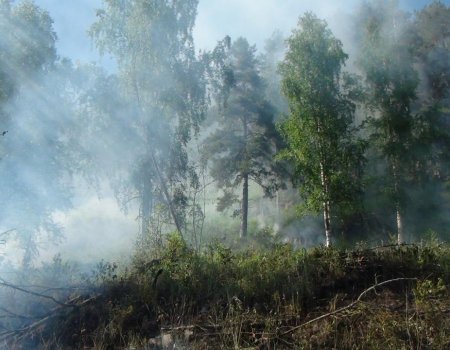 МЧС Башкортостана объявило штормовое предупреждение об опасности из-за лесных пожаров