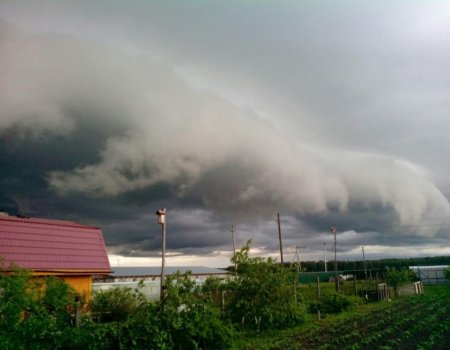 МЧС: на Башкортостан надвигается ураган