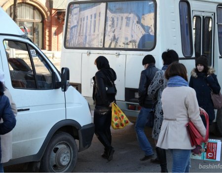 К 1 декабря власти Уфы отчитаются Радию Хабирову о борьбе с нелегальными перевозчиками