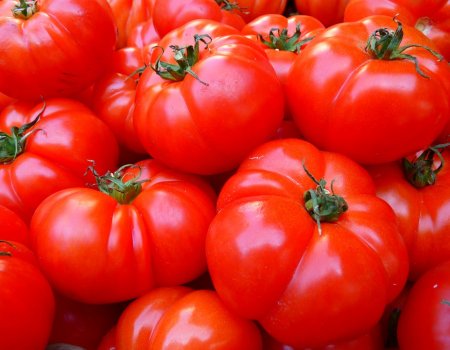 Ежедневное употребление томатов продлевает жизнь