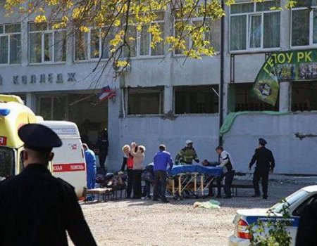 МЧС организовало работу горячей линии в связи с инцидентом в Керчи