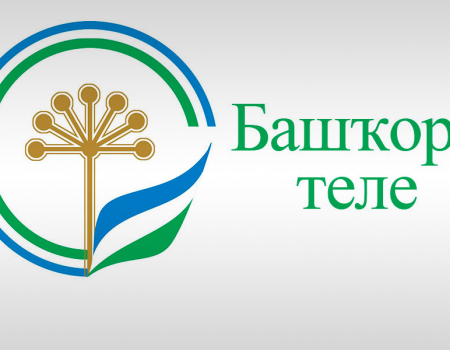 Ко Дню башкирского языка стартовали несколько интернет-конкурсов
