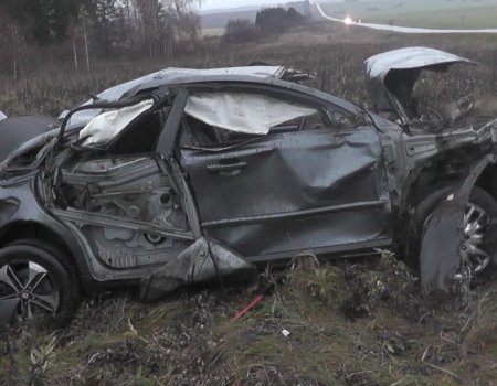 В Башкортостане иномарка опрокинулась в кювет: водитель и пассажир погибли