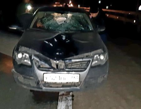 На трассе в Башкортостане под колесами иномарки погибла 36-летняя женщина
