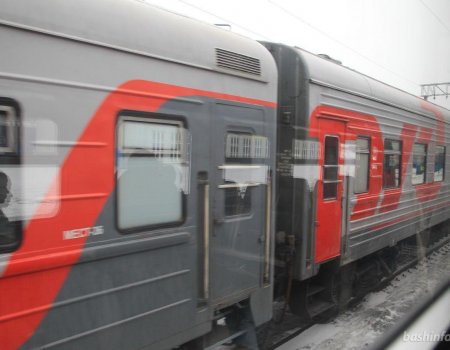 Семь вахтовиков из Башкортостана сняли с поезда за дебош
