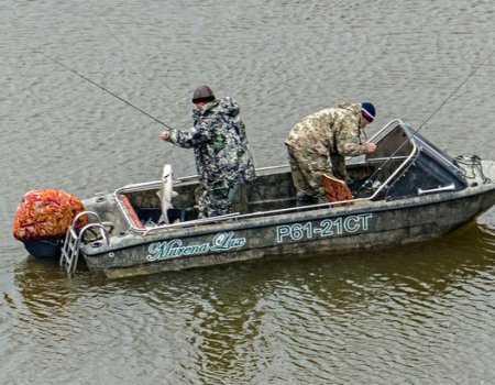 Любительская рыбалка в России останется бесплатной