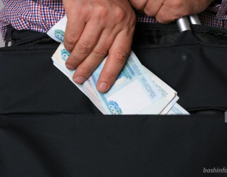 Названы денежные доходы среднестатистического жителя Башкортостана