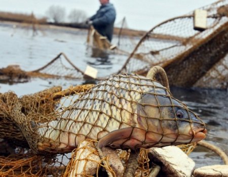 В Башкортостане прокуратура объявила о ежегодной операции по борьбе с «рыбным» браконьерством