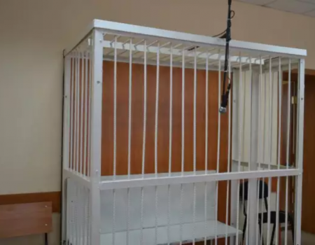 В России хотят запретить клетки и «аквариумы» в залах суда