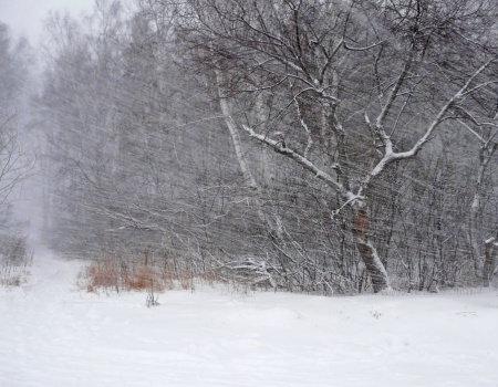 В Башкортостане ухудшится погода: ожидаются метель и гололедица
