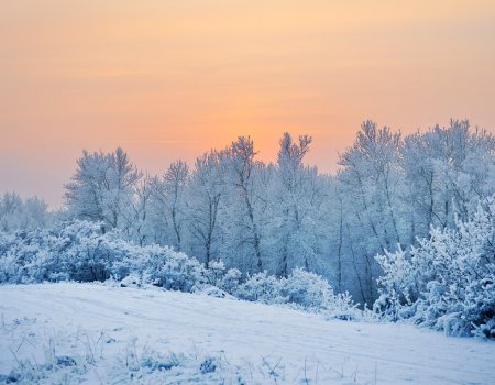 В Башкортостане в выходные похолодает до -25 градусов