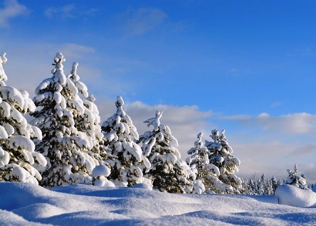 Погода в Башкортостане на завтра: слабый снег и 18 градусов мороза