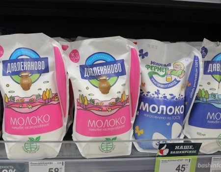 В Башкортостане приостановлена деятельность Давлекановского молочного комбината