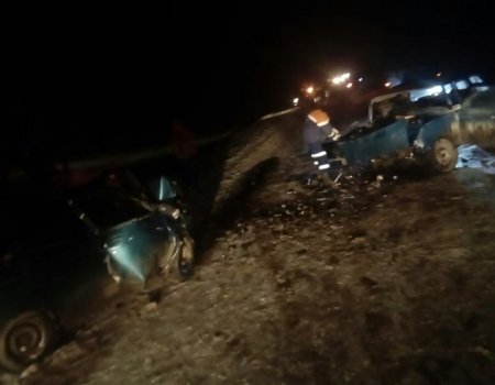 Четыре человека, в том числе два ребенка, погибли в лобовом столкновении на трассе в Башкортостане